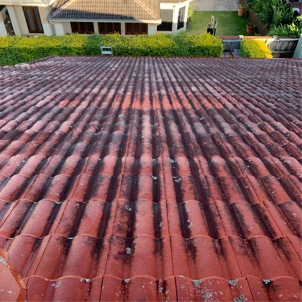 Roof Cleaning Brisbane